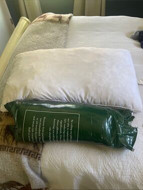 Ella Jayne Down alternative pillows- king